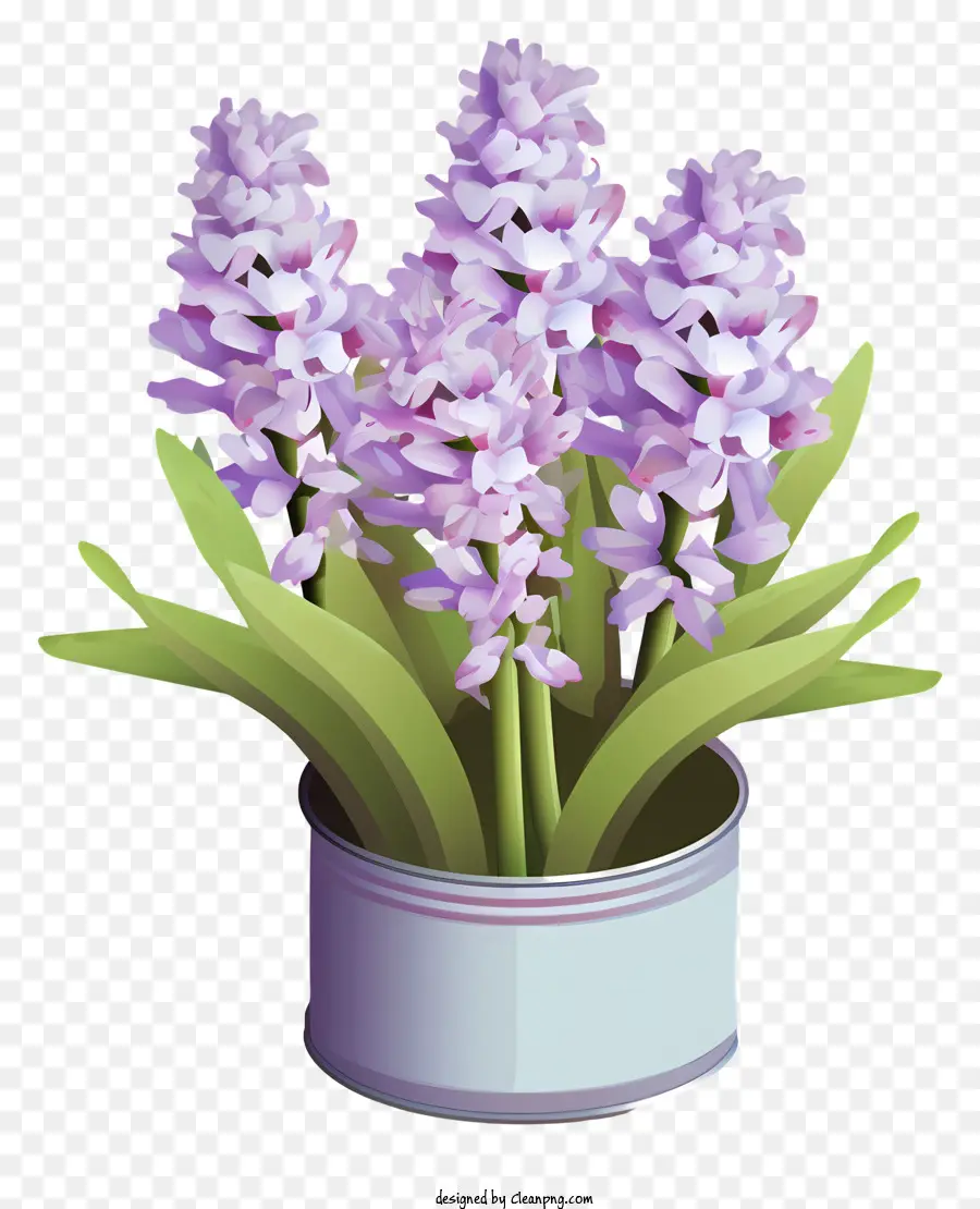 Recipiente De Cerámica Blanca，Flores Moradas PNG