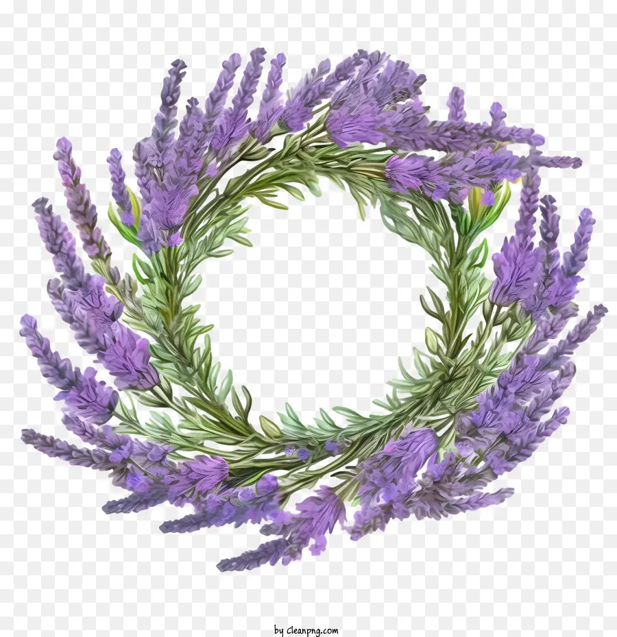 Corona De Lavanda，Guirnalda PNG