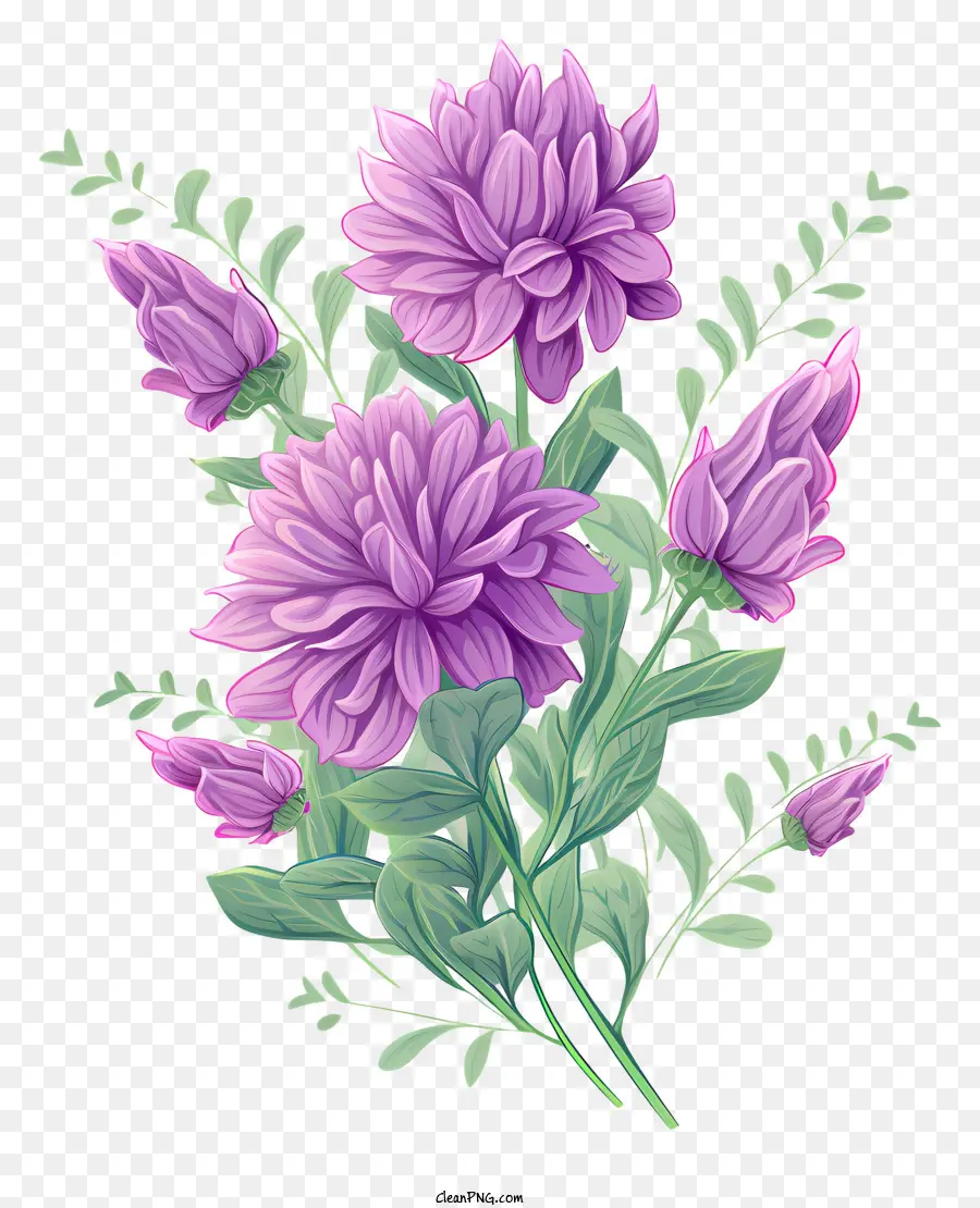 Las Flores De Lavanda，Ramo PNG