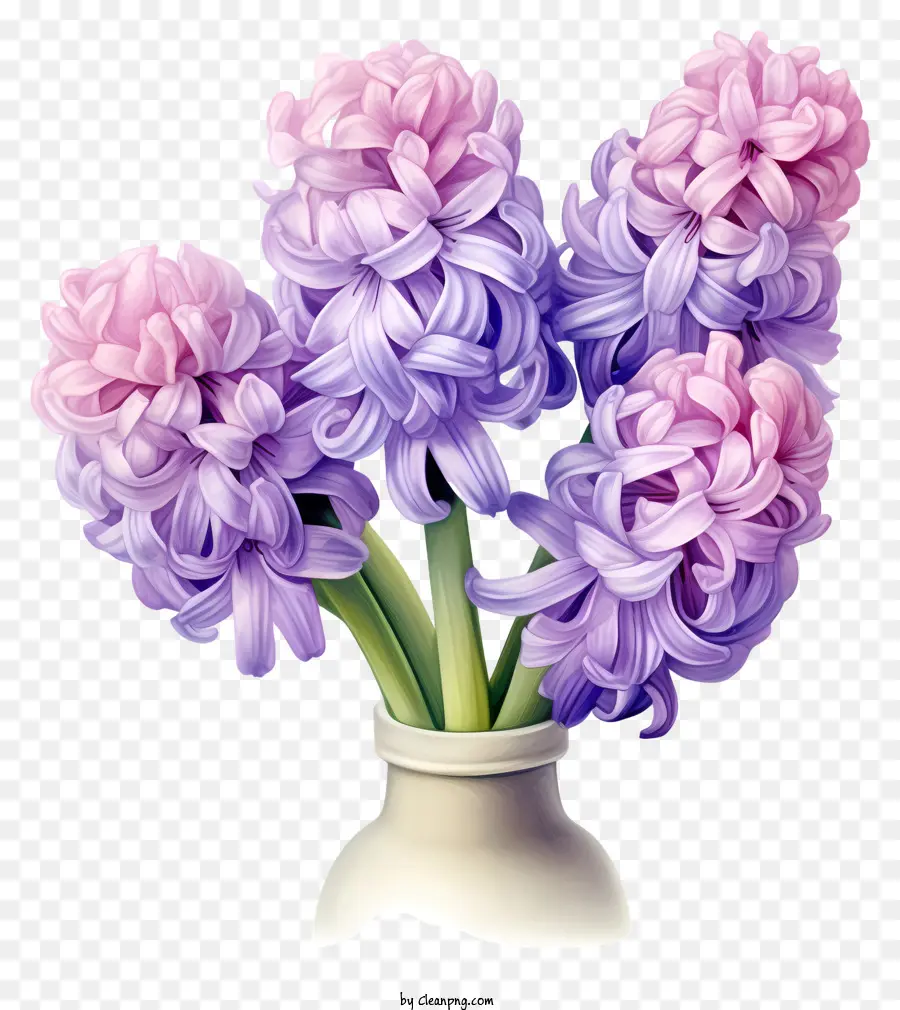 Flores De Jacinto Morado，Flores Moradas Y Rosas PNG