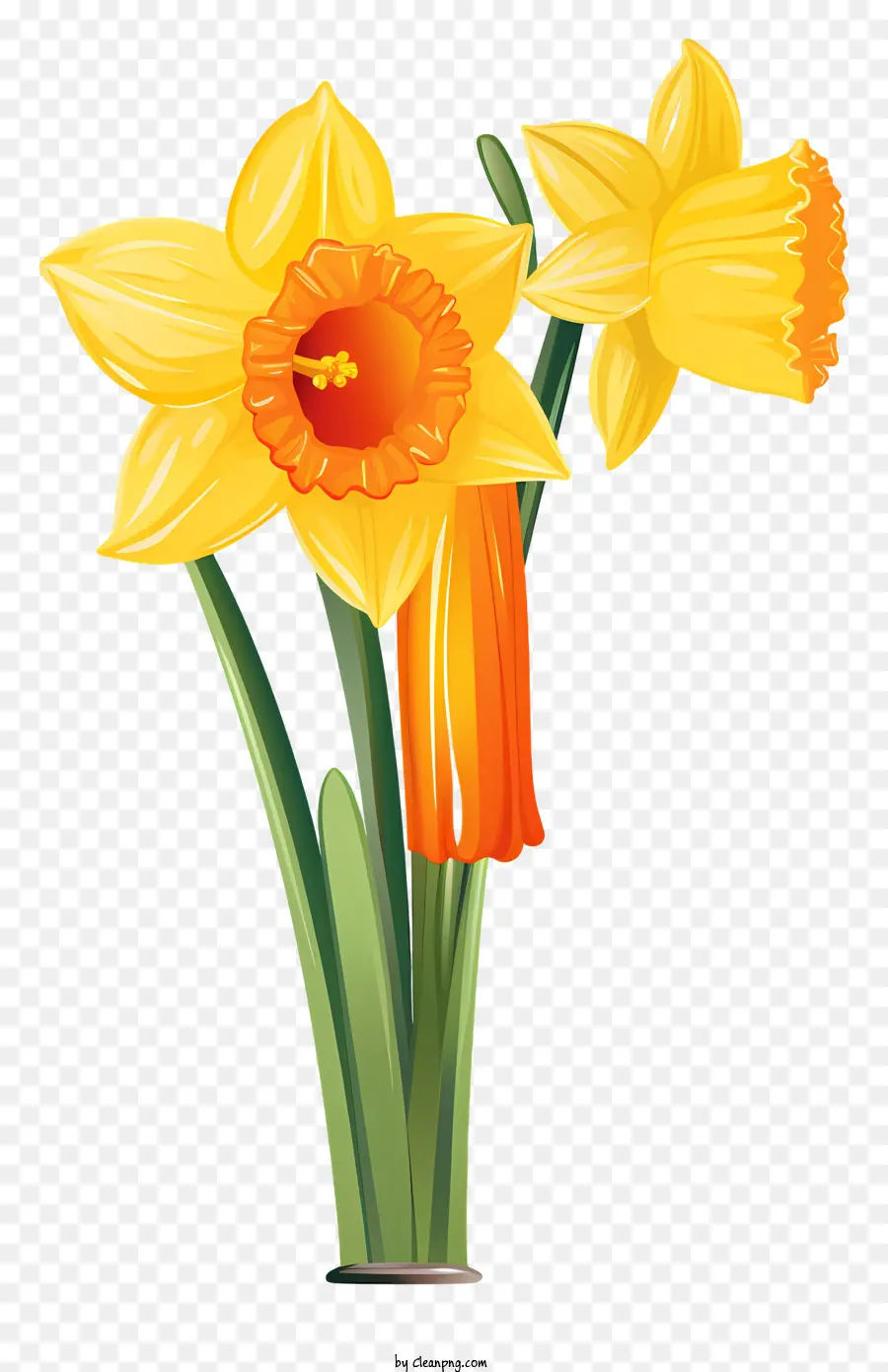 Flor Amarilla，Narciso Amarillo PNG