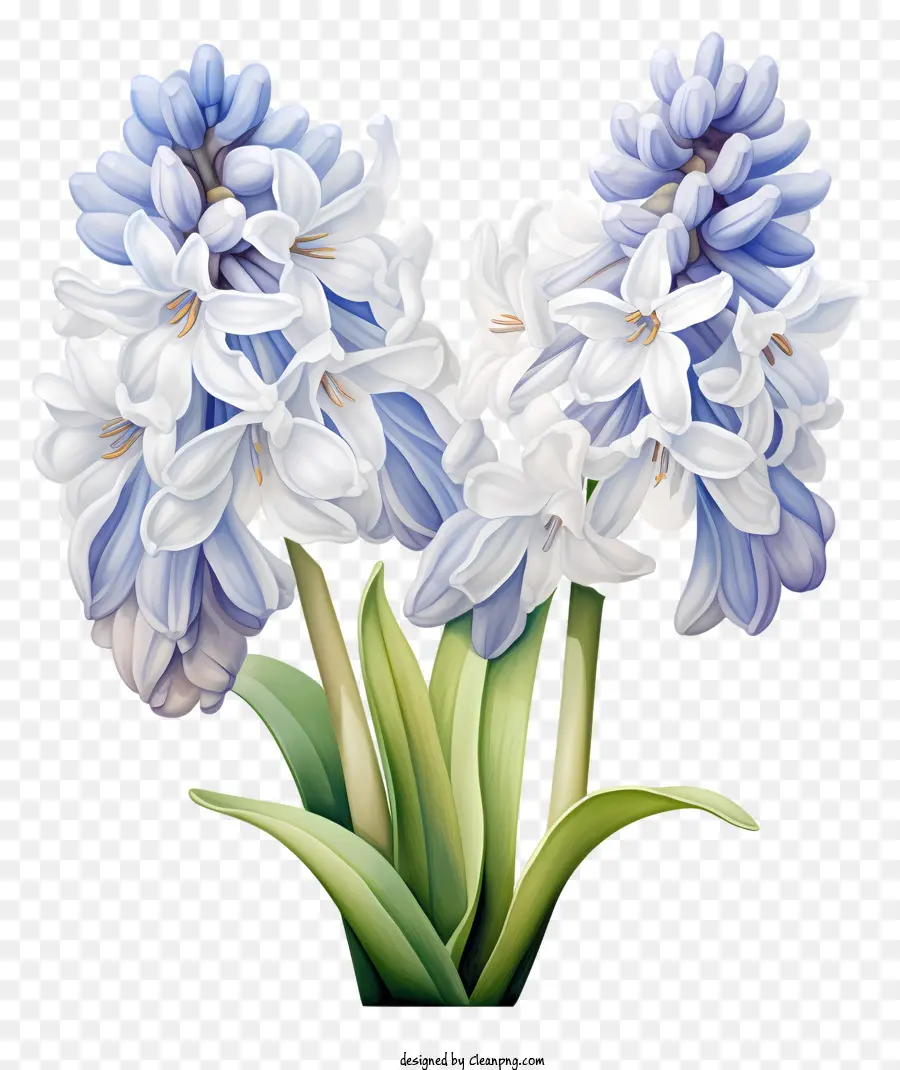 Ramo De Flores，Azul Y Blanco Flores PNG