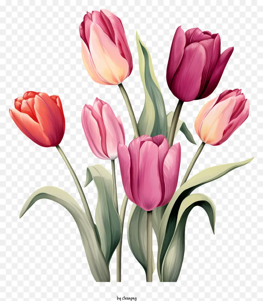 Florero，Tulipanes PNG