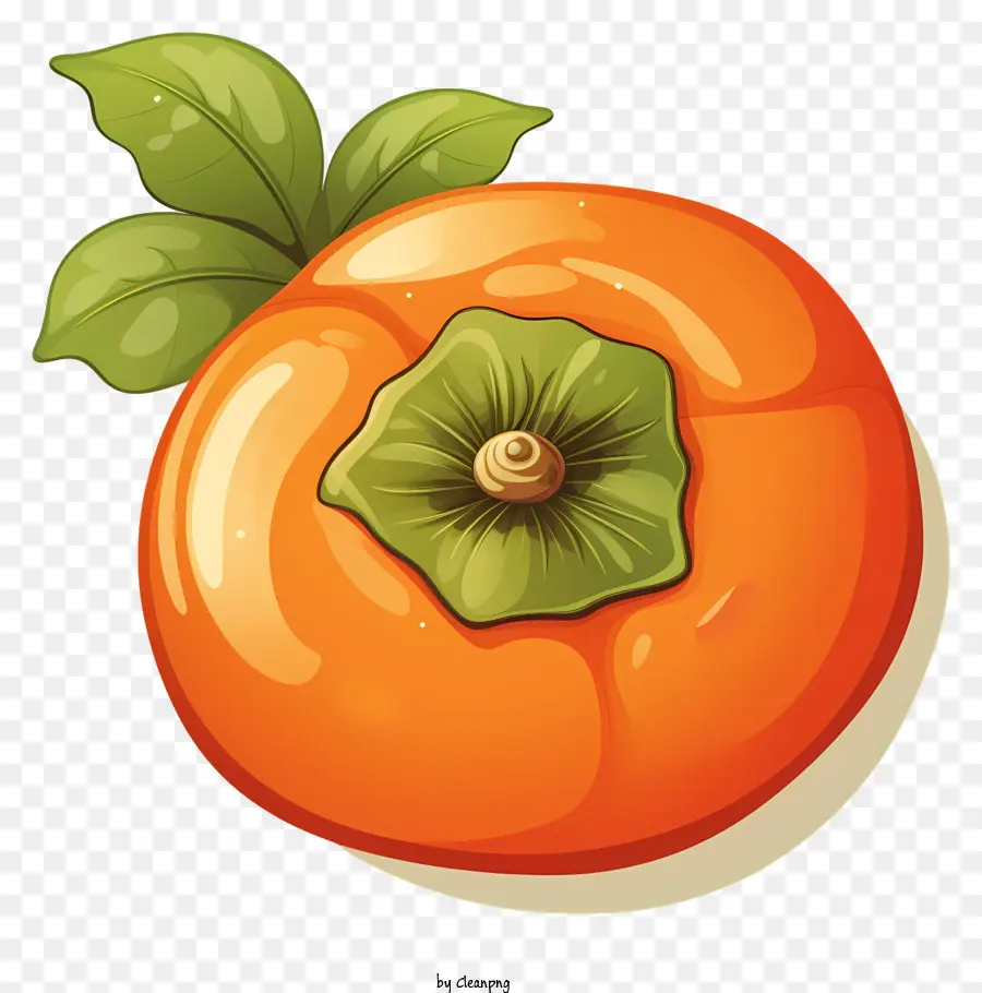 Fruta De La Naranja，Los Cítricos PNG