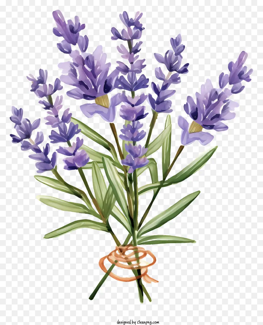 Las Flores De Lavanda，Ramo PNG