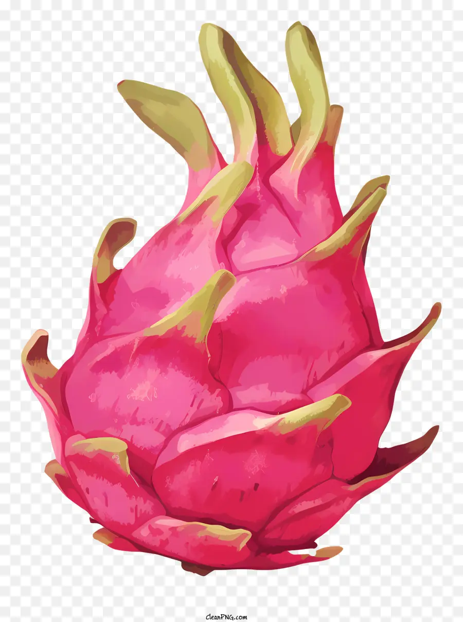 Fruta De Dragón Rosa，Fruta Del Dragón PNG
