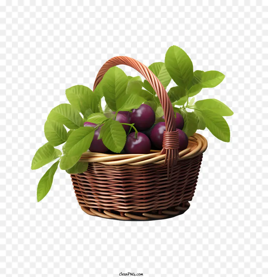 Ciruela，Cesta De Ciruelas PNG