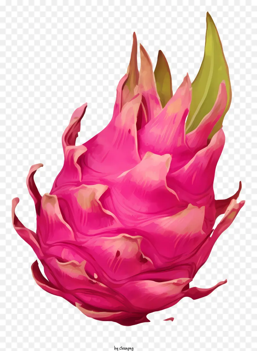 Fruta Del Dragón，Rosa De La Fruta PNG