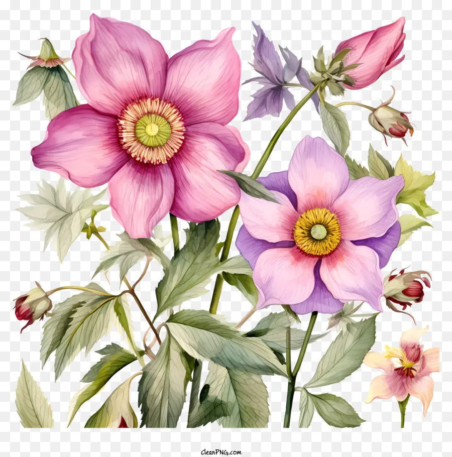 Pintura A La Acuarela，Bouquet Of Flowers PNG