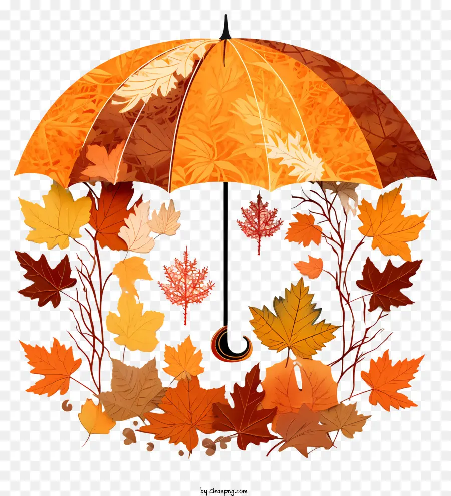 Autumn Leaves，Collage Circular PNG