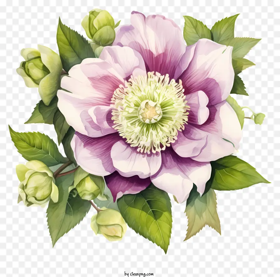 Pintura De Acuarela，Flor PNG