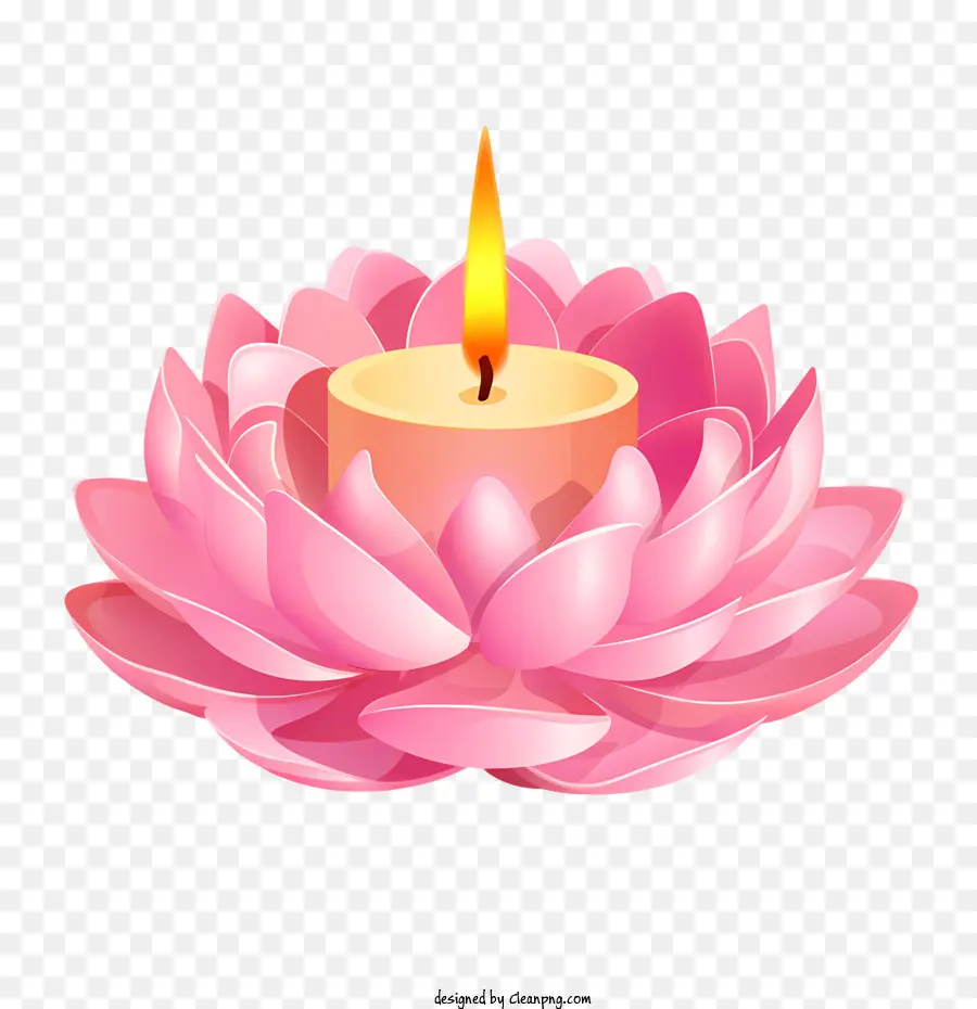 Flor De Loto De Vela，Loto De Color Rosa PNG