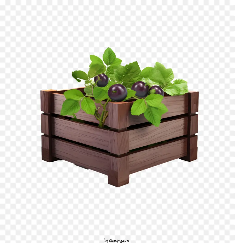 Ciruela，Caja De Madera Con Uvas PNG