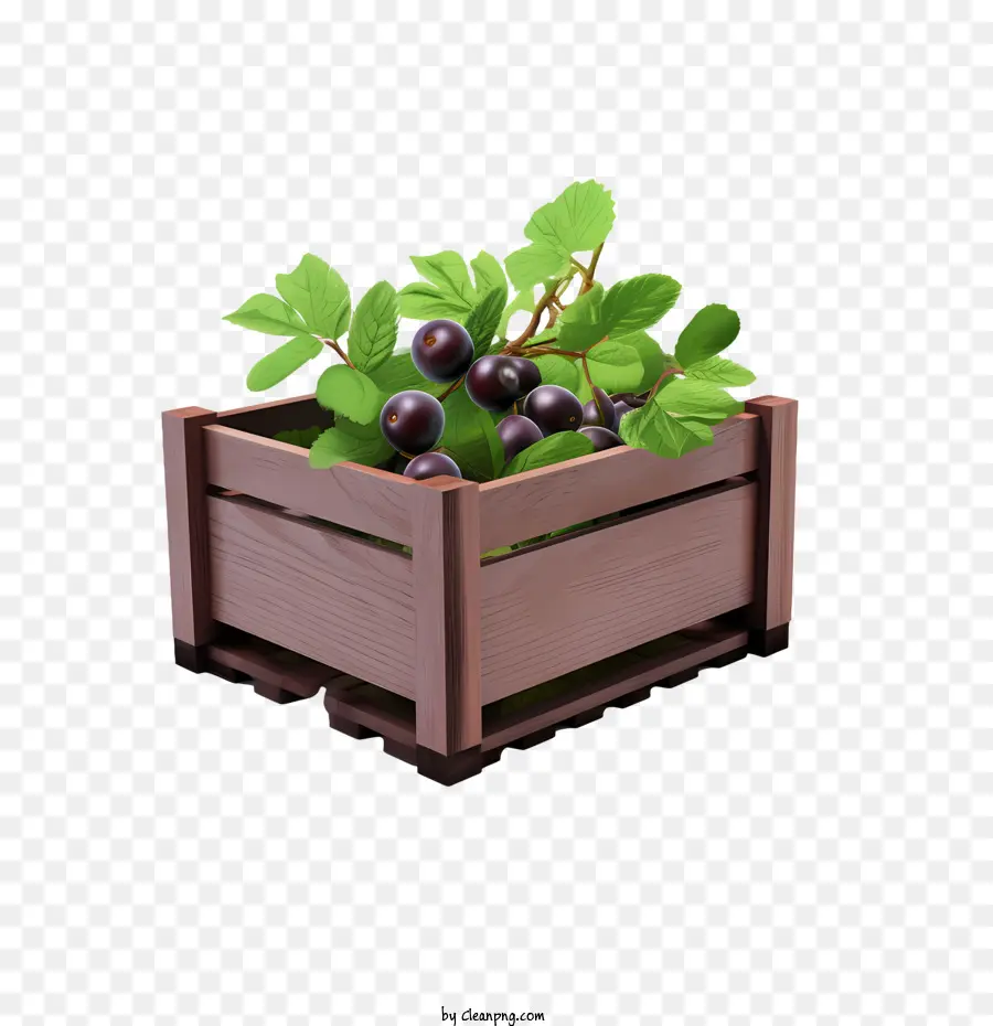 Ciruela，Caja De Madera Con Uvas PNG