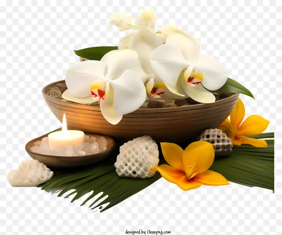 Flores Tropicales，Vela Y Hoja PNG