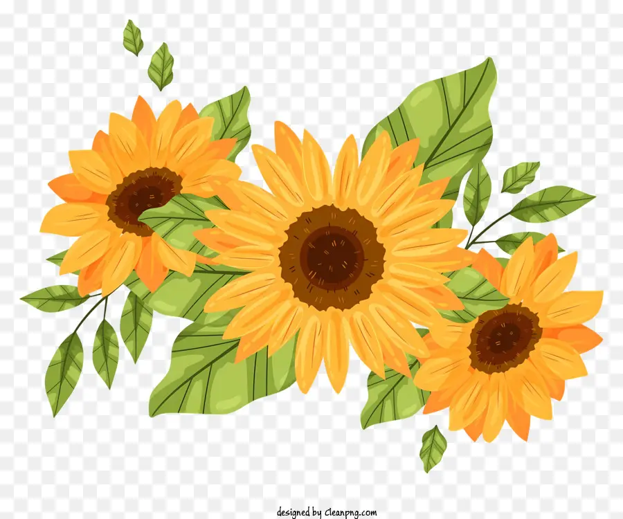 Los Girasoles，Hojas PNG