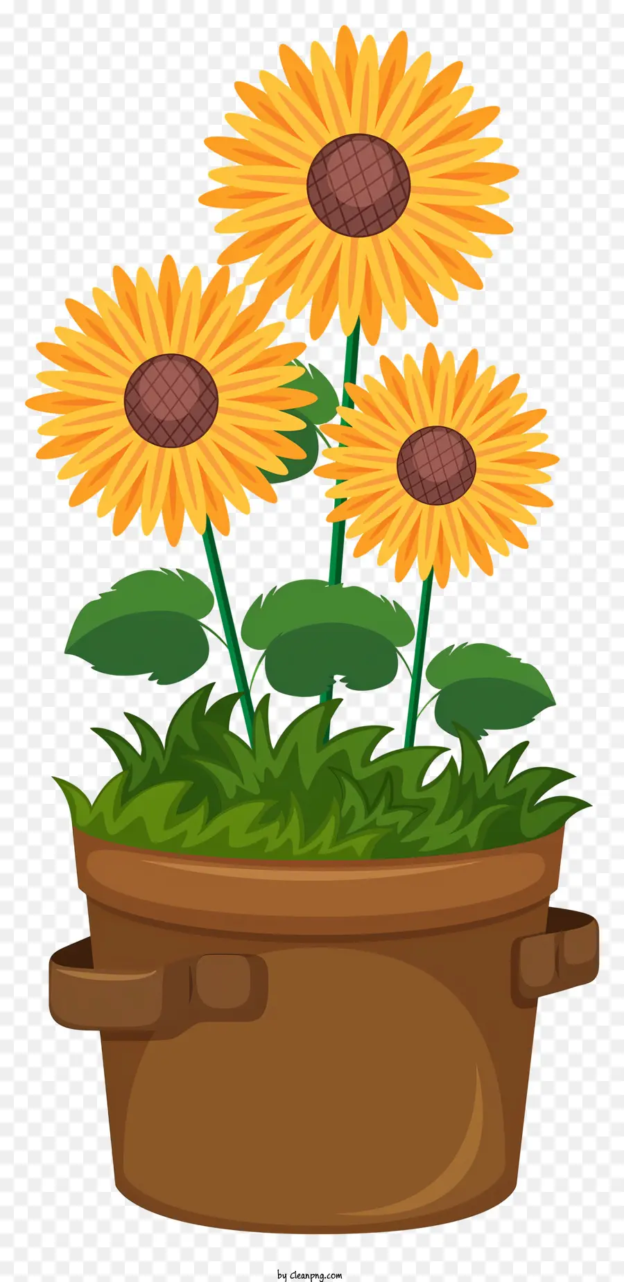 Girasol，Girasoles PNG