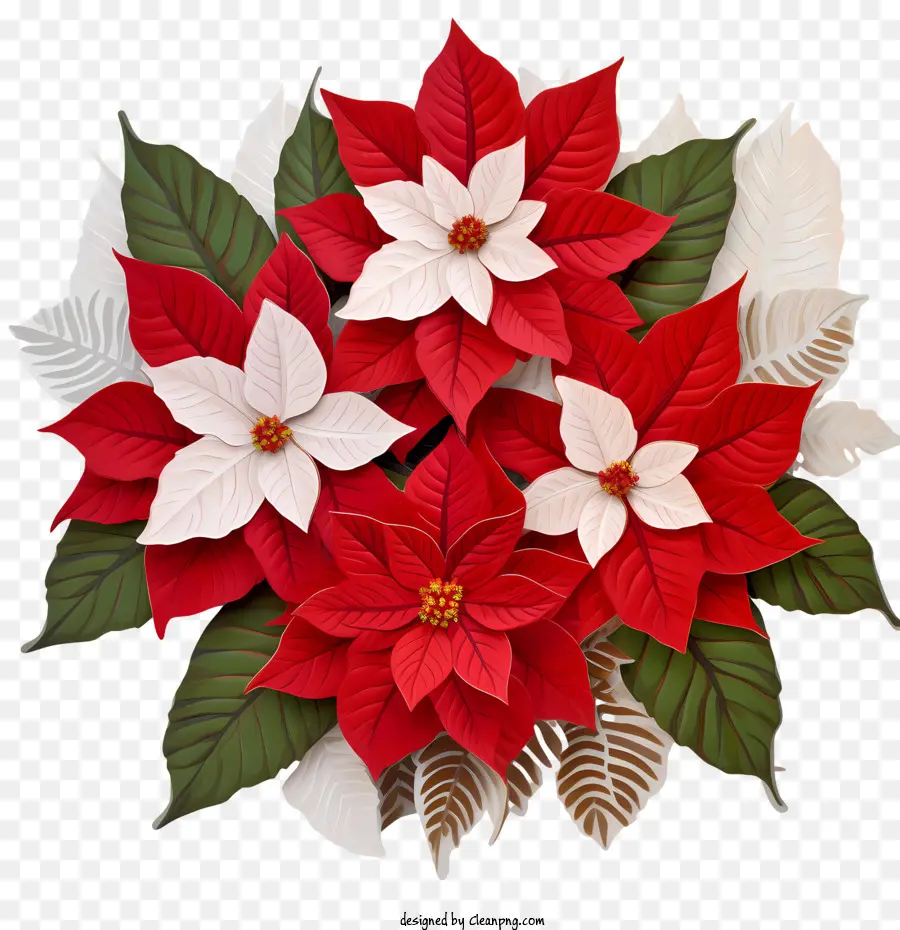 La Flor De Pascua Flor，La Flor De Pascua PNG