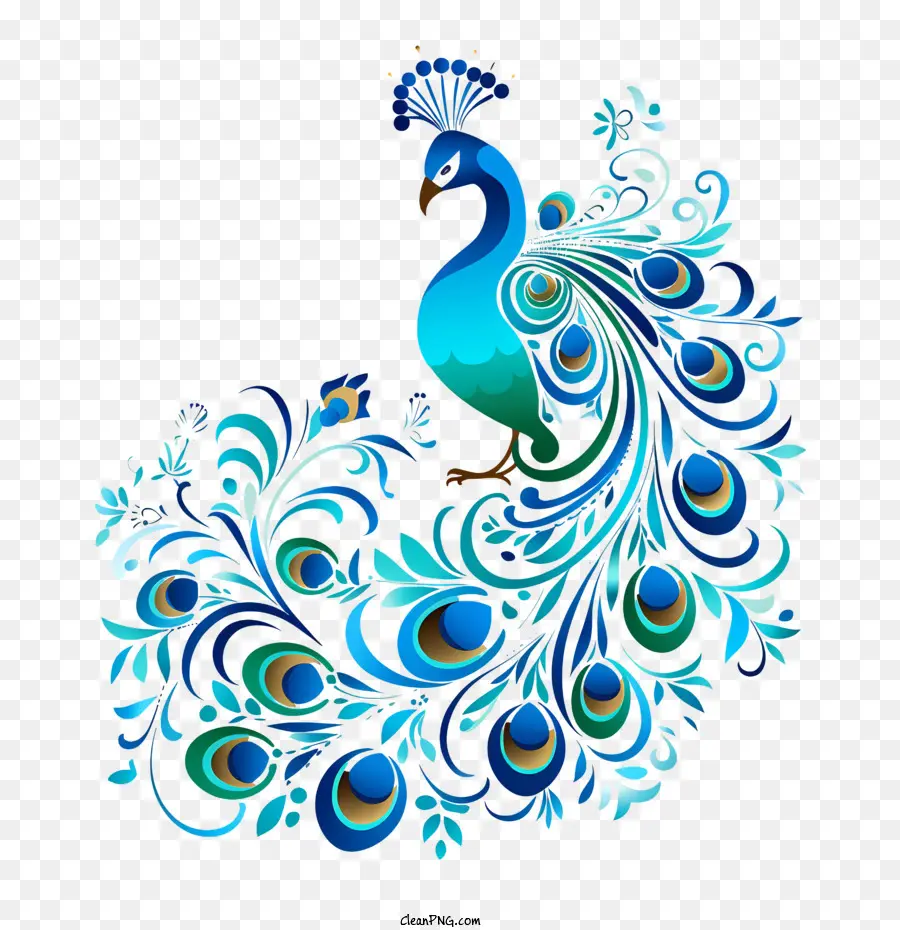 Pavo Real，Vistoso PNG