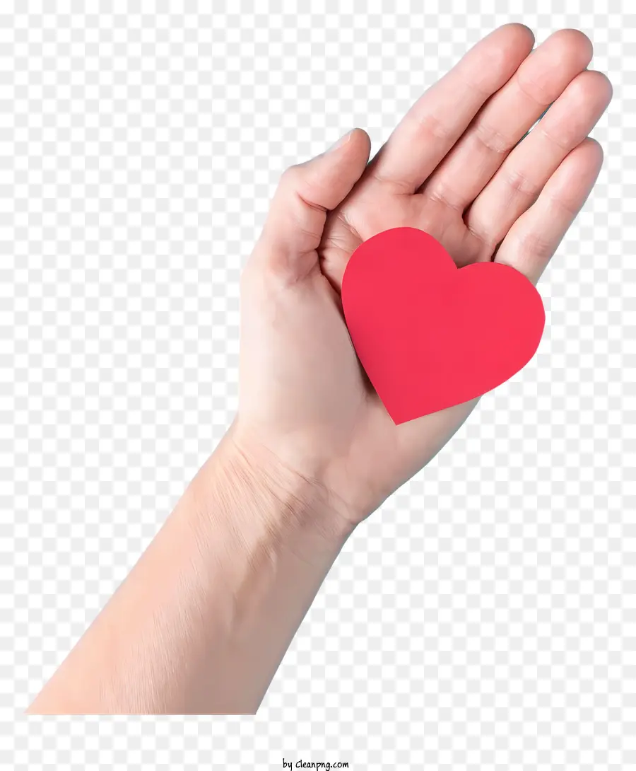 Mano Humana，Corazón Rojo PNG