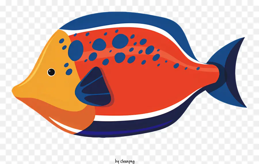 Peces Tropicales，Naranja De Pescado PNG