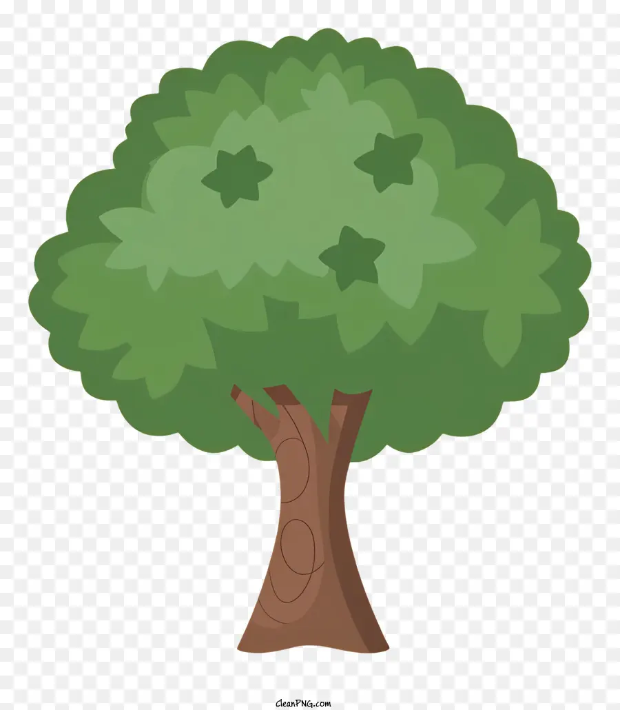 Árbol，Hojas PNG