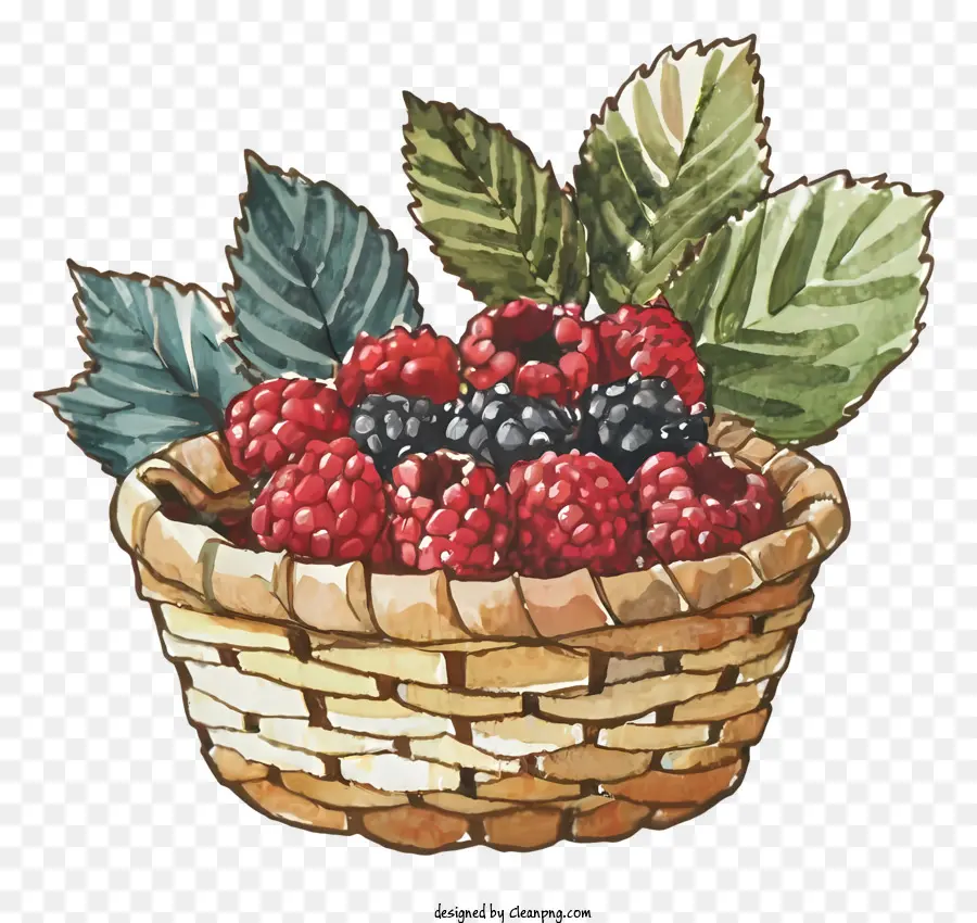 Wicker Basket，Frambuesas Rojas PNG