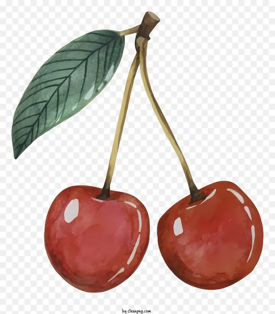 Cerezas，Hojas PNG