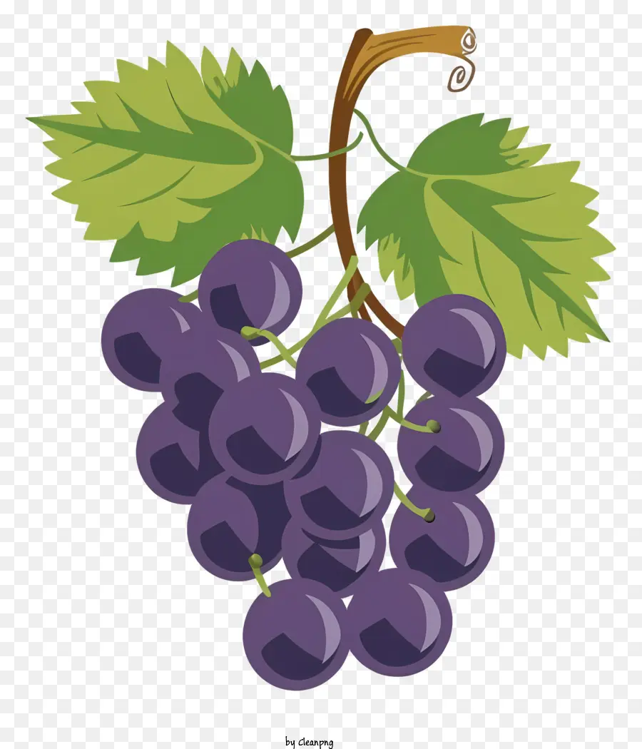 Uvas Moradas，Racimo De Uvas PNG