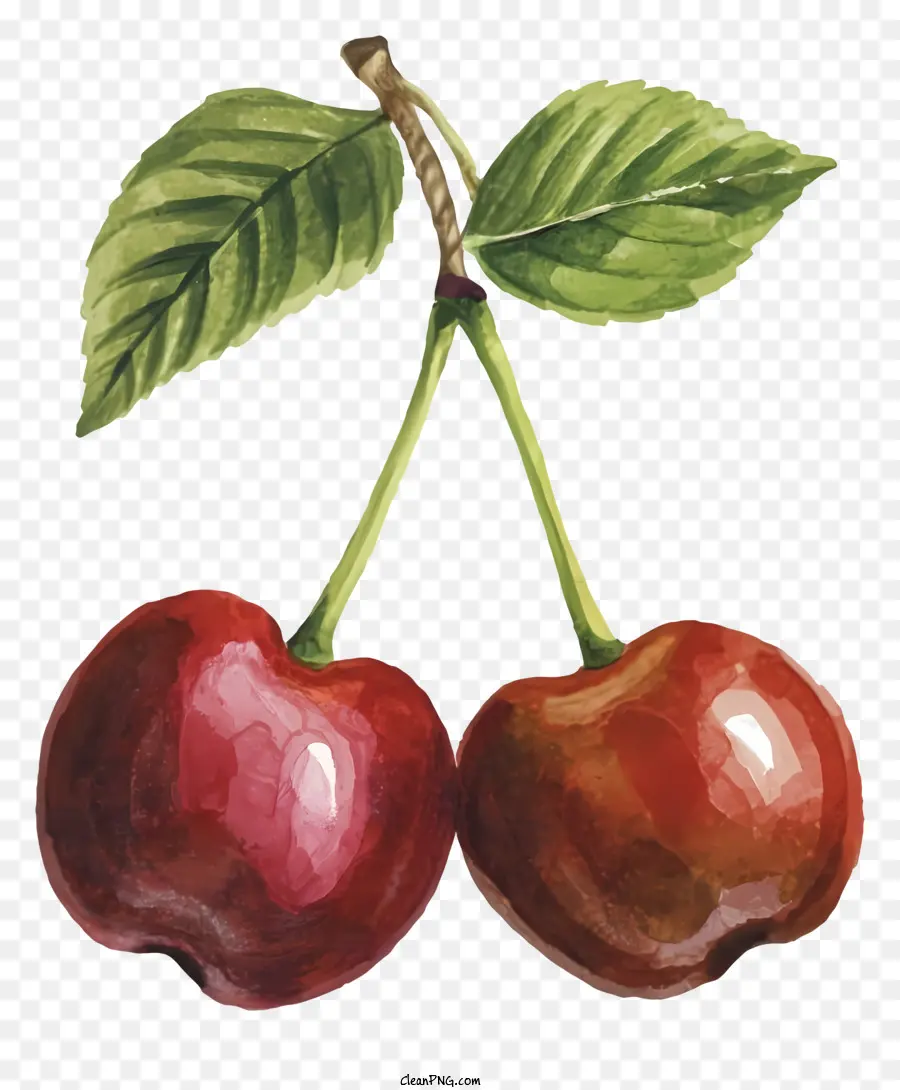 Cerezas，Pintura PNG