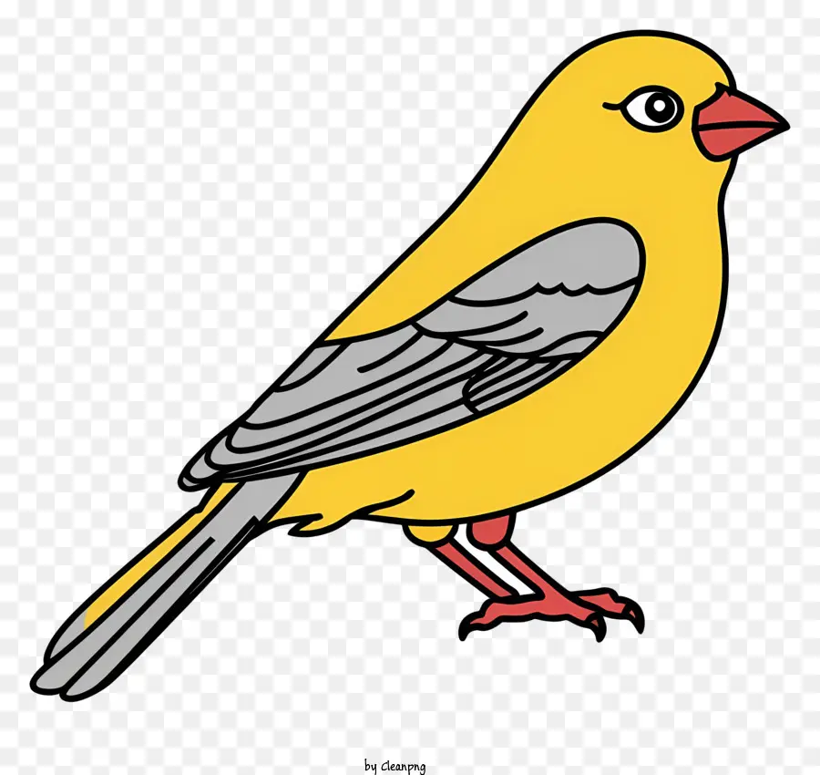 Pájaro Amarillo，Pájaro Colorido PNG