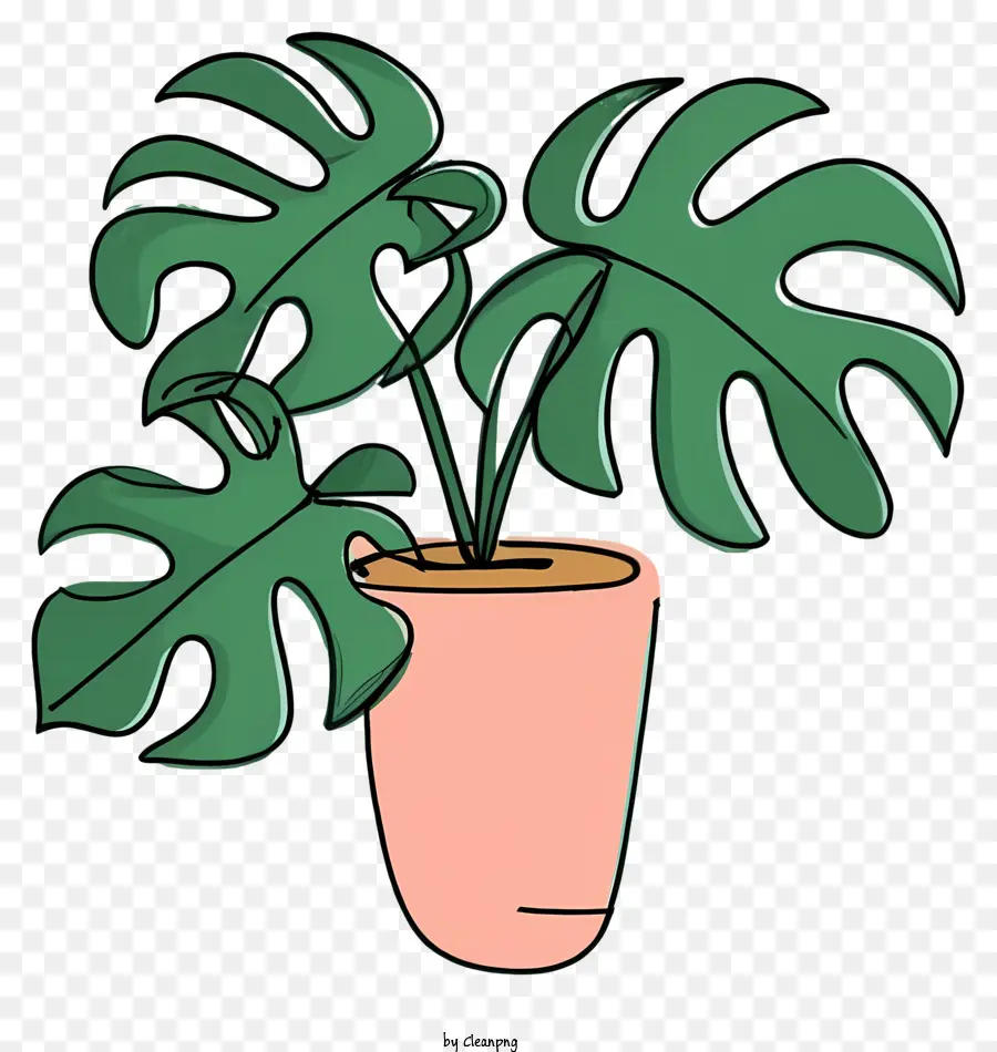 Planta En Maceta，Bote PNG