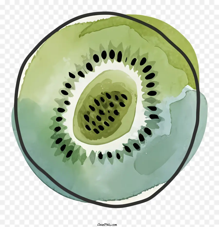 Pintura De Frutas Kiwi，Acuarela De Kiwi Verde PNG