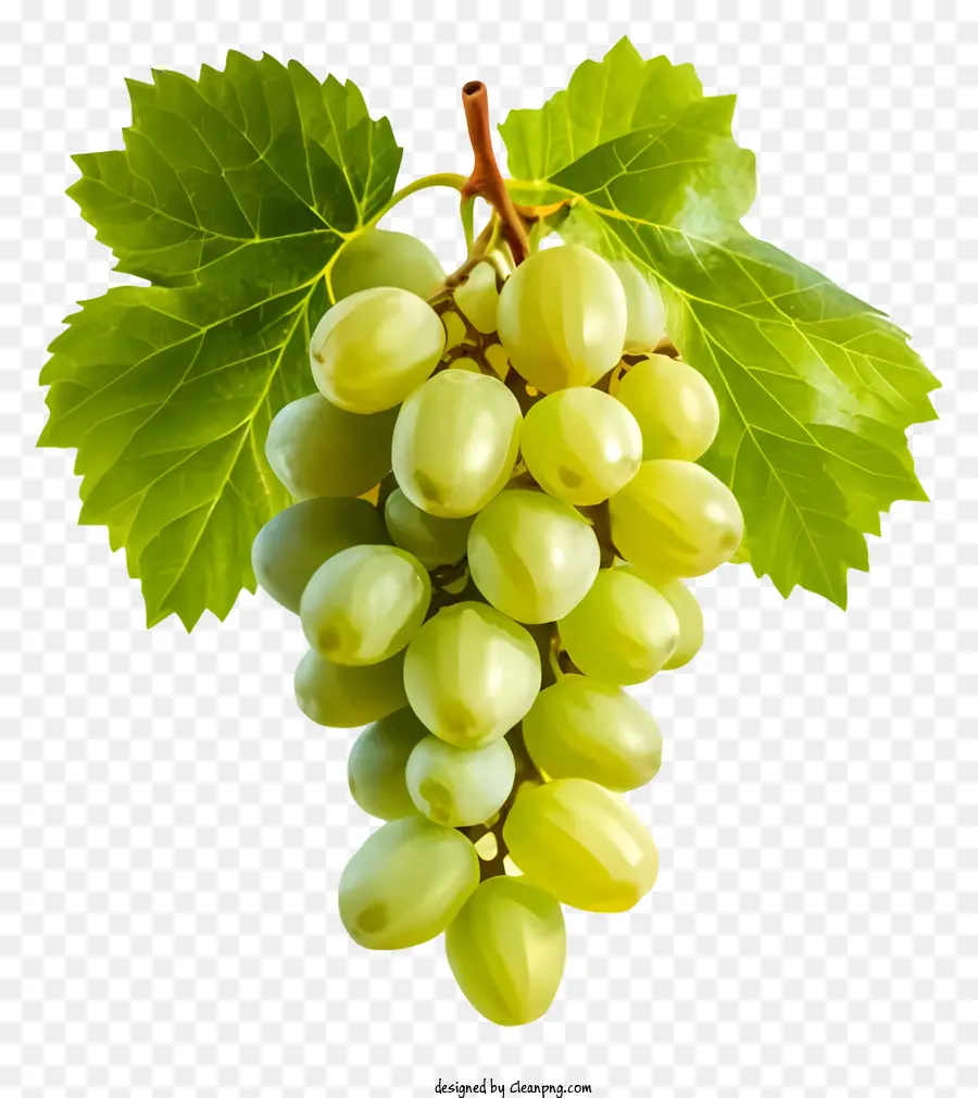 Uvas Verdes，Clúster De Uvas PNG