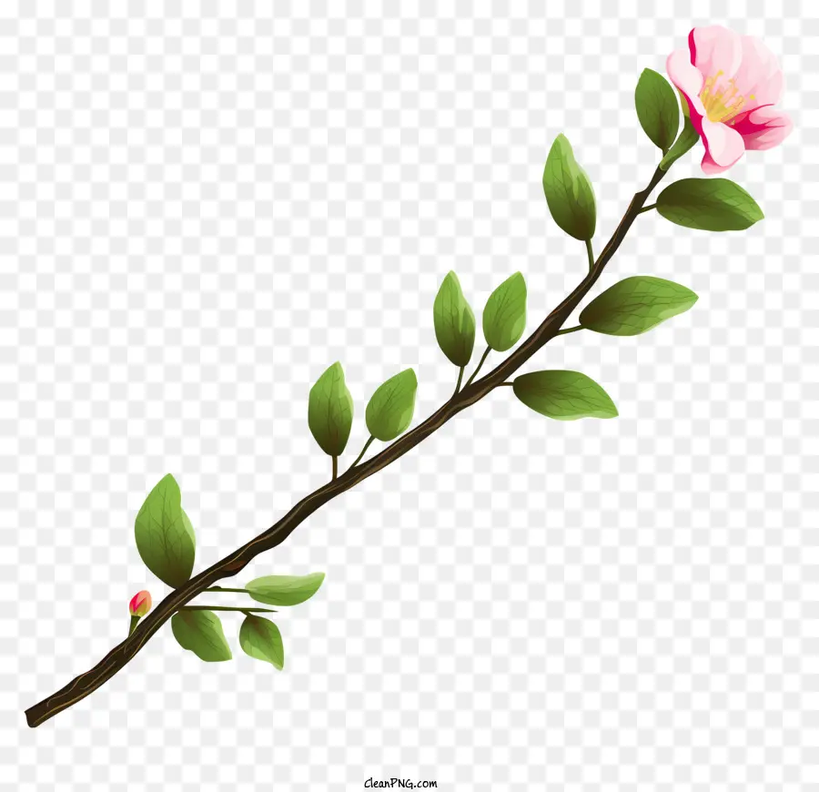 Flor Rosa，Flor Rosa Simple PNG