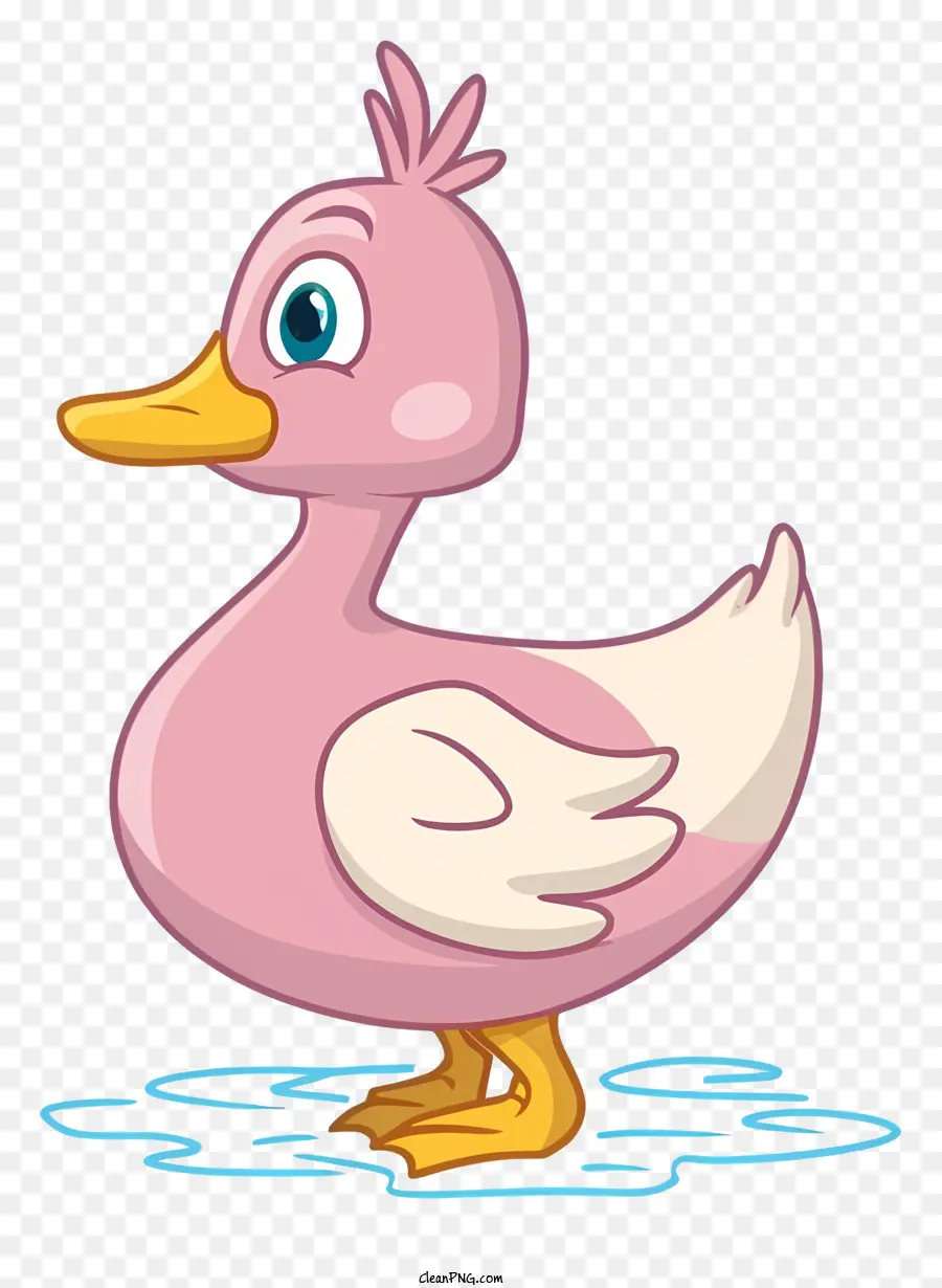 Dibujos Animados De Pato，Rosa De Plumas PNG