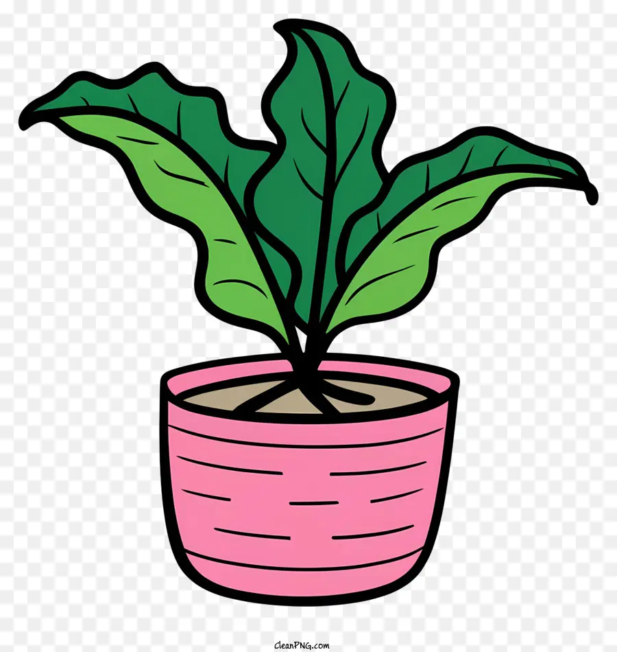 Planta En Maceta，Planta En Maceta Rosa PNG