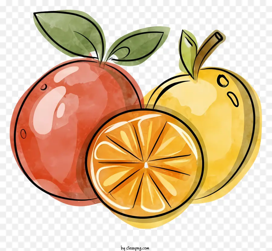 Ilustración Acuarela，Frutas PNG