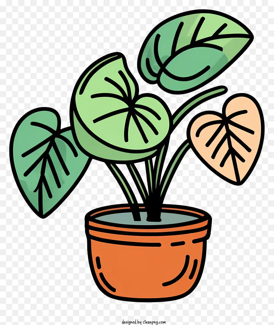 Planta En Maceta，En Conserva PNG