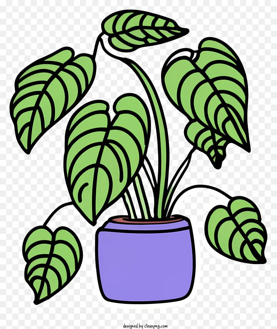 Planta En Maceta，Hojas Verdes PNG