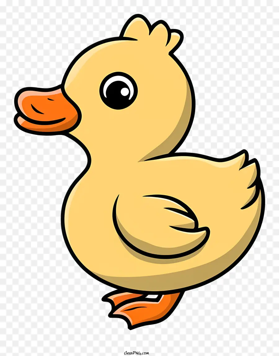 Pato De Dibujos Animados，Pato PNG