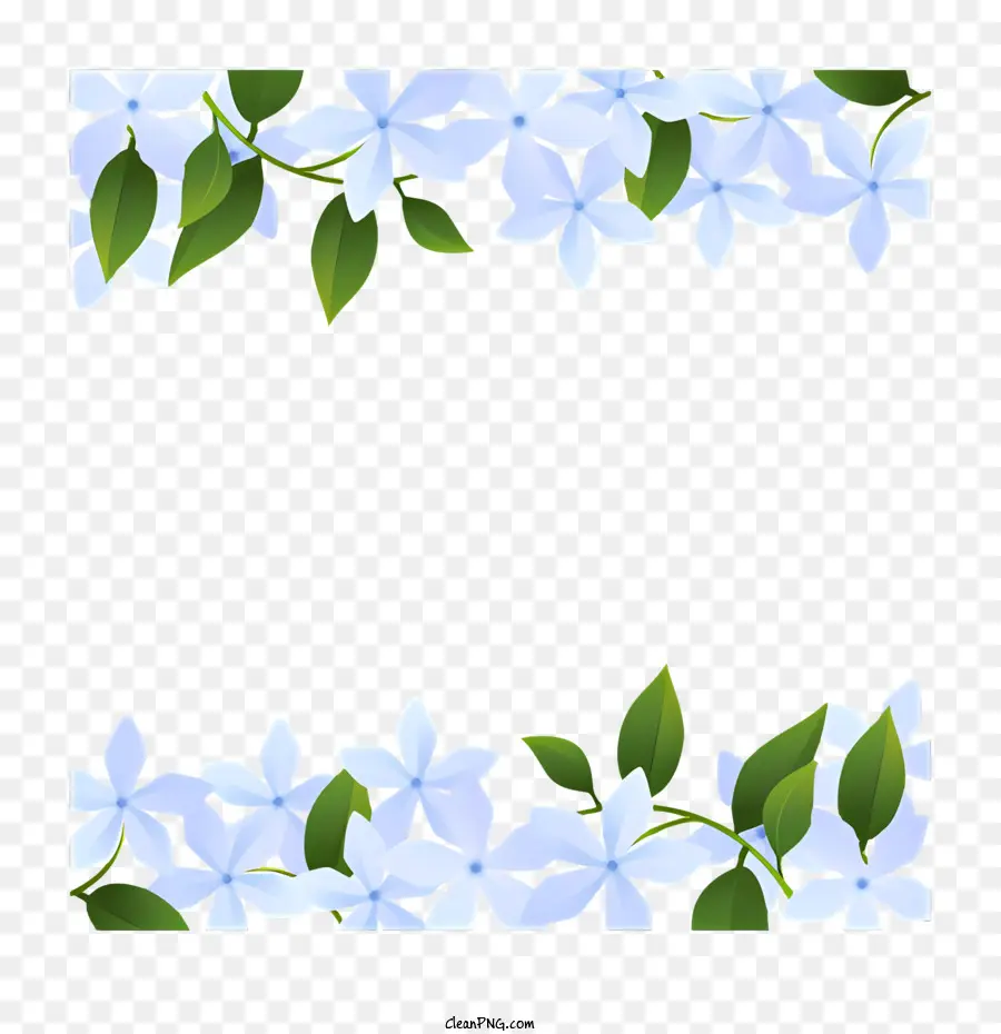 Fondo Blanco，Flores De Color Azul PNG