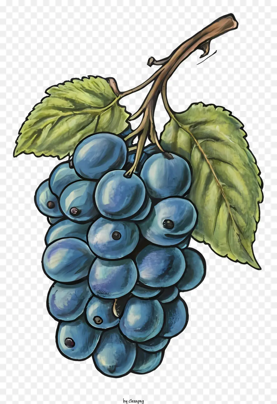 Uvas Azules，Hojas Verdes PNG