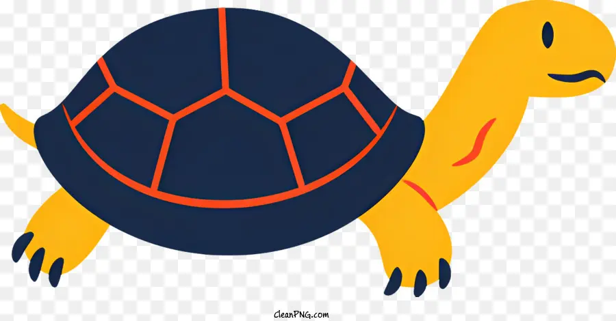 Tortuga De Dibujos Animados，Tortuga PNG