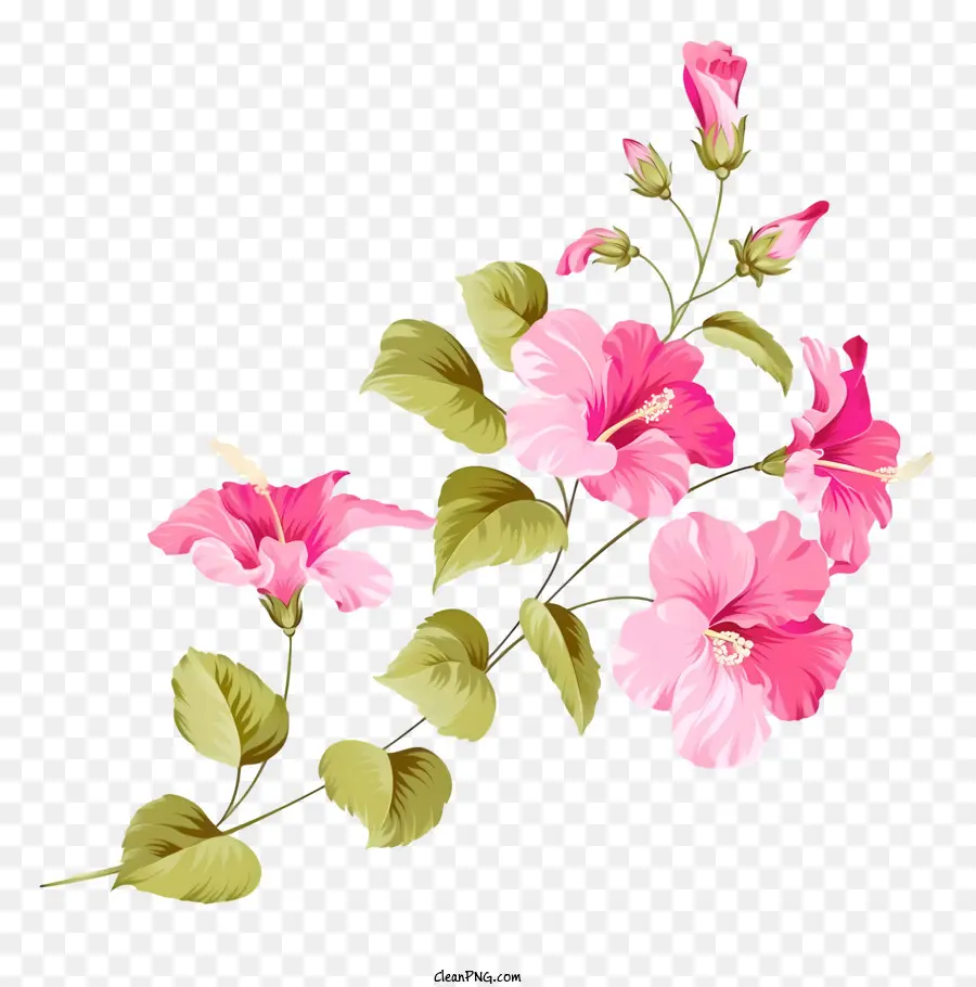 Imagen Digital，Flores Rosadas PNG