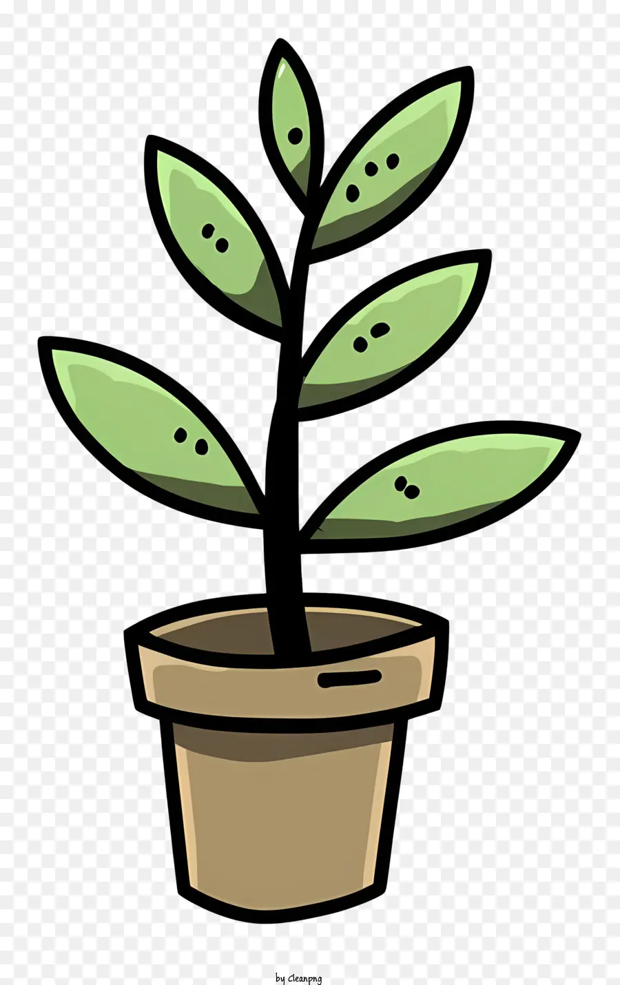 Pequeña Planta En Maceta，Hojas Verdes PNG