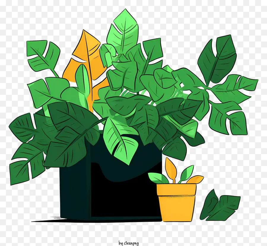 Planta En Maceta，Hojas Verdes PNG