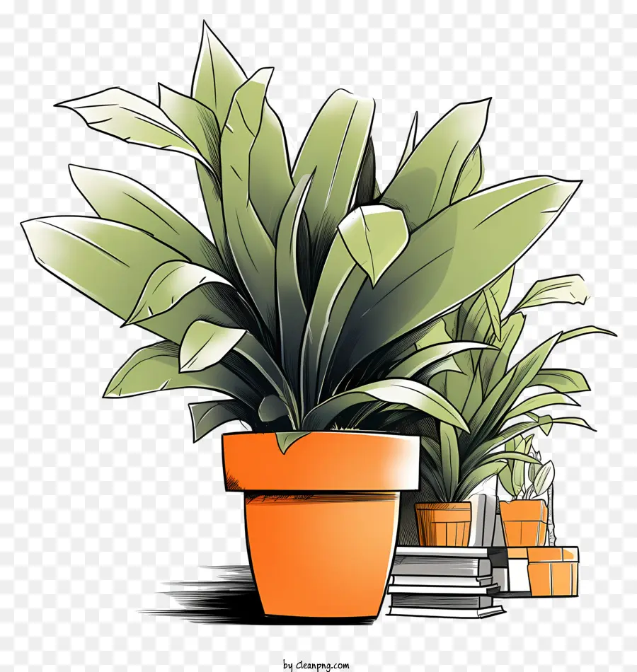 Pot De Naranja Grande，Planta En Maceta PNG