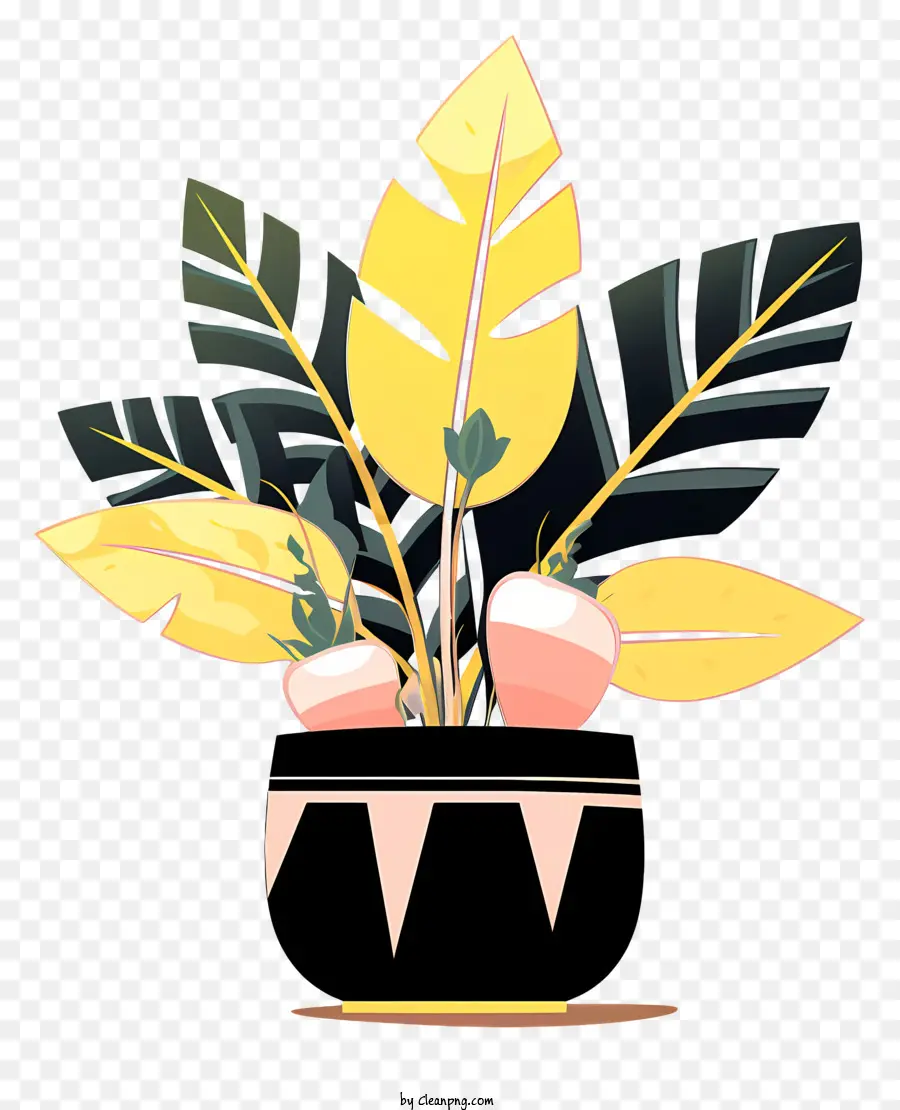 Negro Florero，Las Plantas PNG