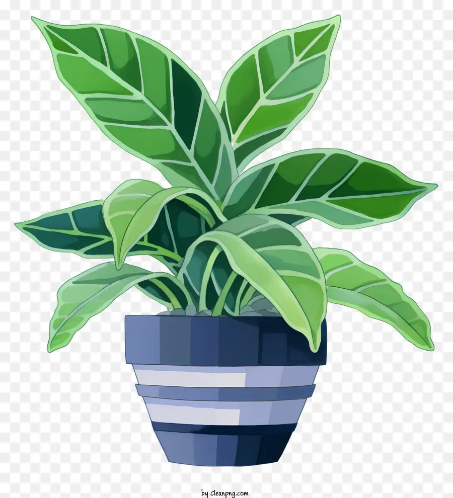 Planta En Maceta，Hojas Verdes PNG